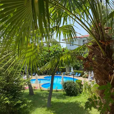 Delfin Sea View Apartment